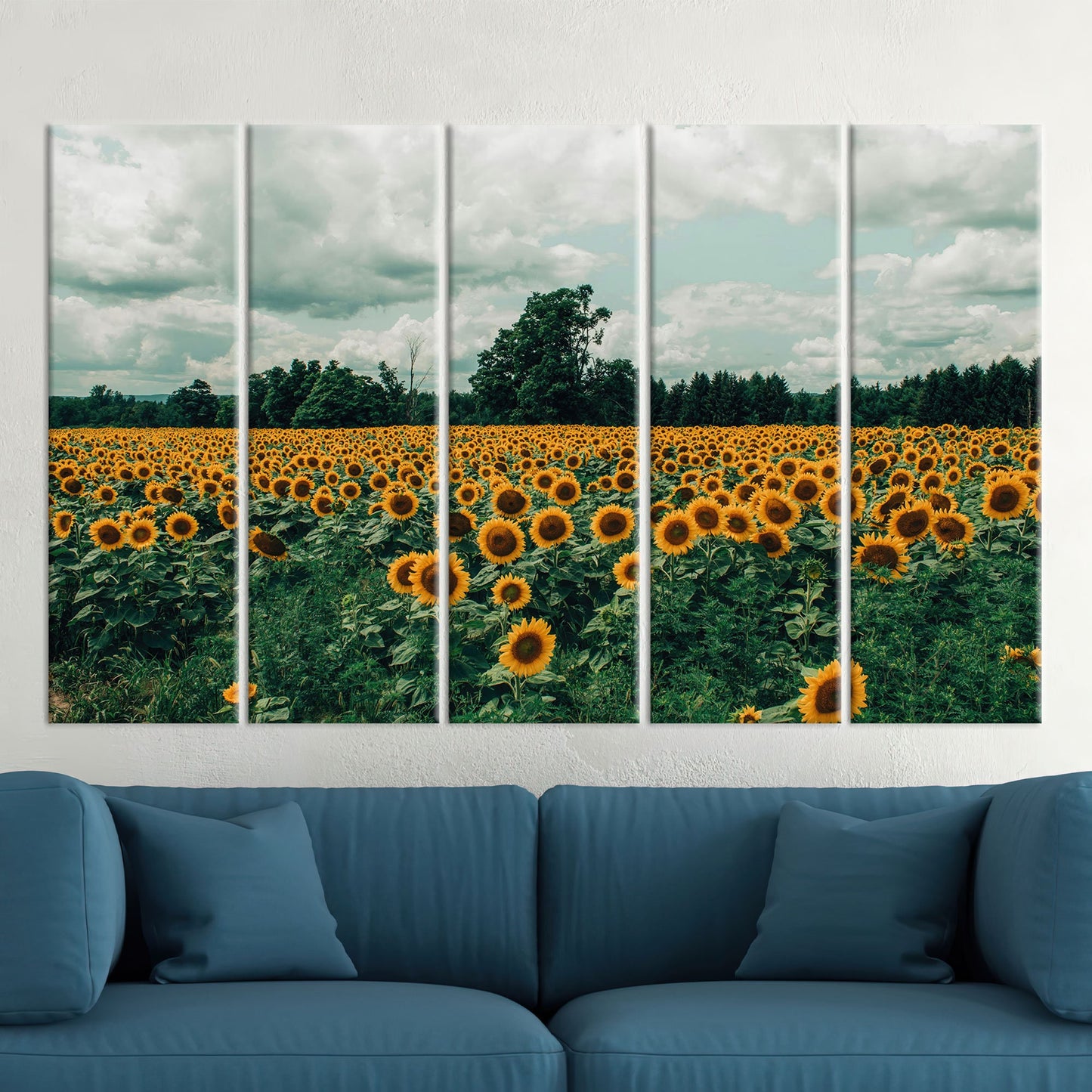 Sunflower Field Landscape Canvas Print