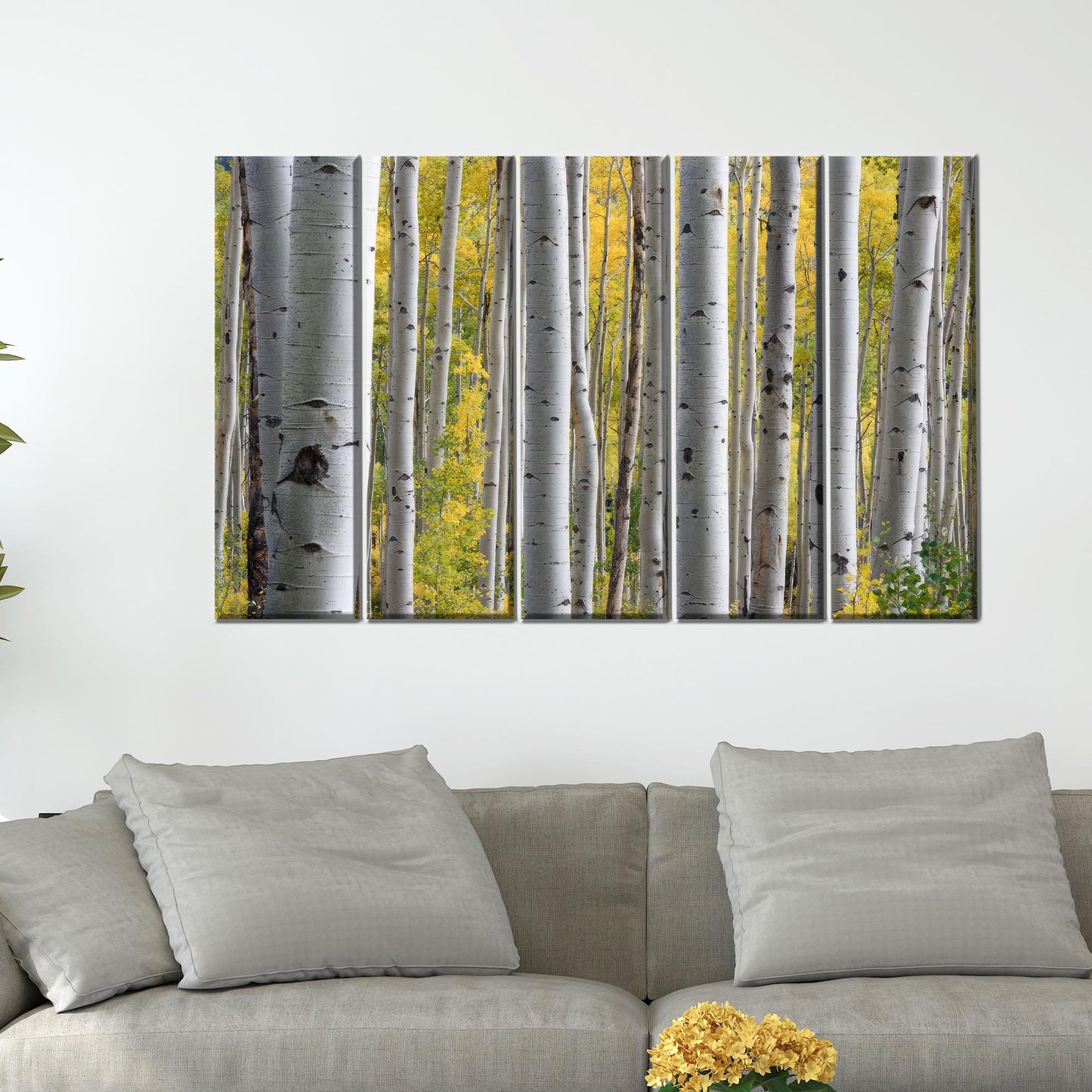 Birch Grove Forest Tree Landscape Canvas Print