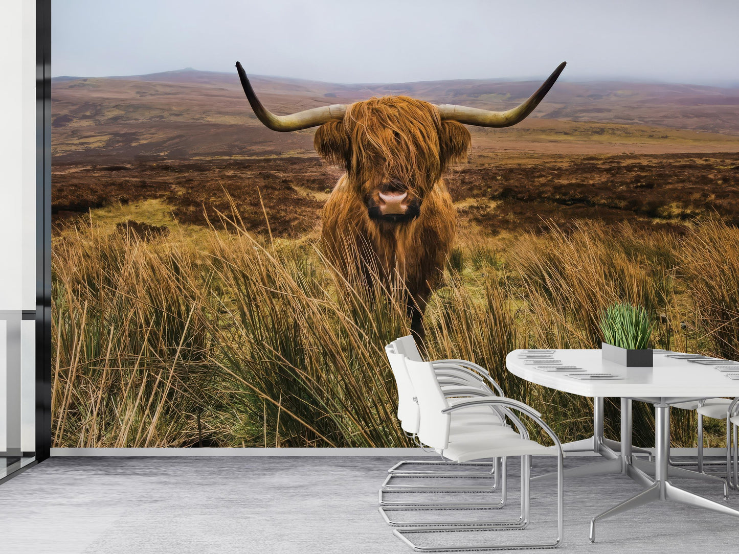 Rustic Highland Cow Wall Mural Wallpaper, Scottish Longhorn Farm Animal Nature Decor for Country
