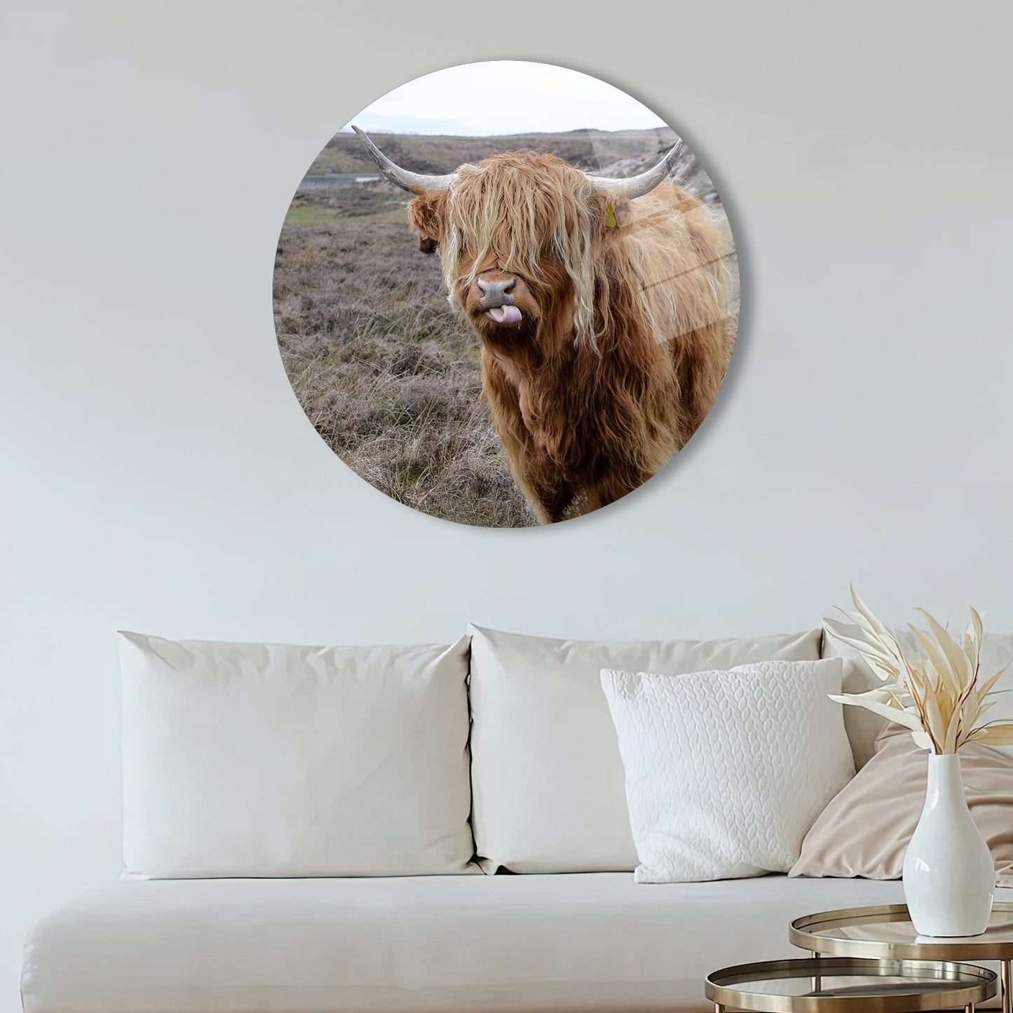 Scottish Highland Cattle and Glass Wall Art