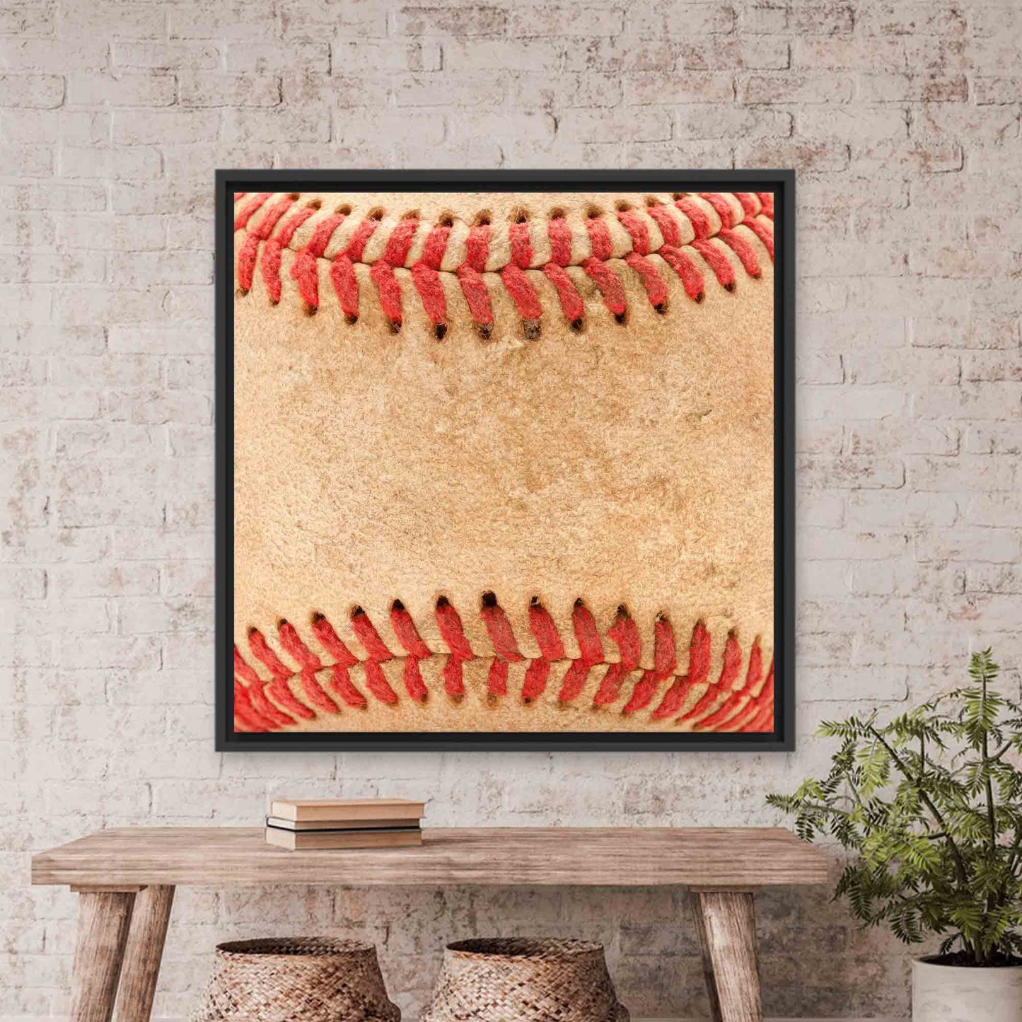 Baseball Boy Canvas Print
