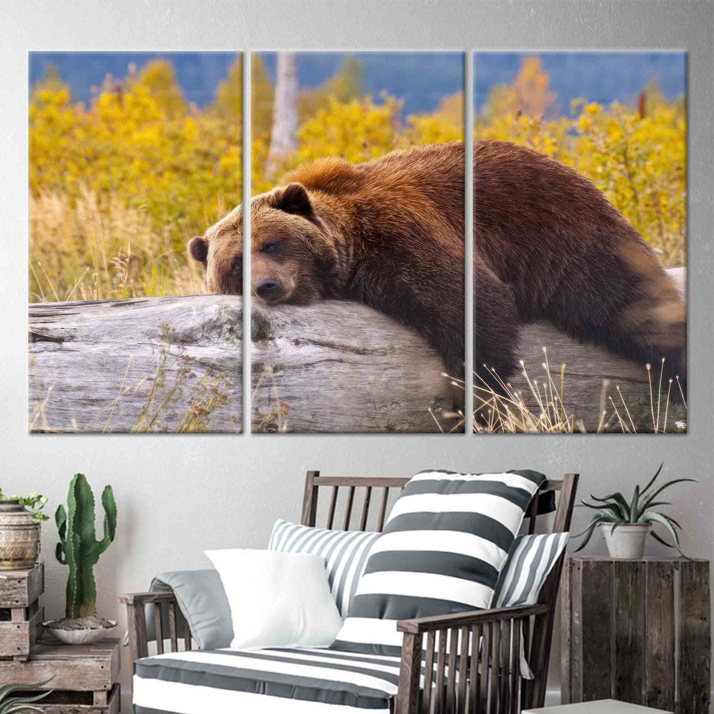 Brown Bear Resting Log Canvas Print