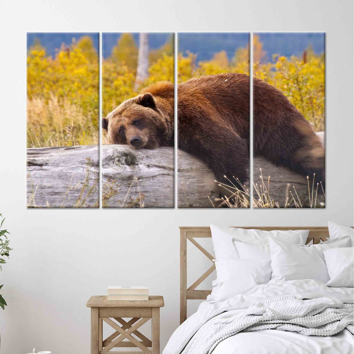 Brown Bear Resting Log Canvas Print