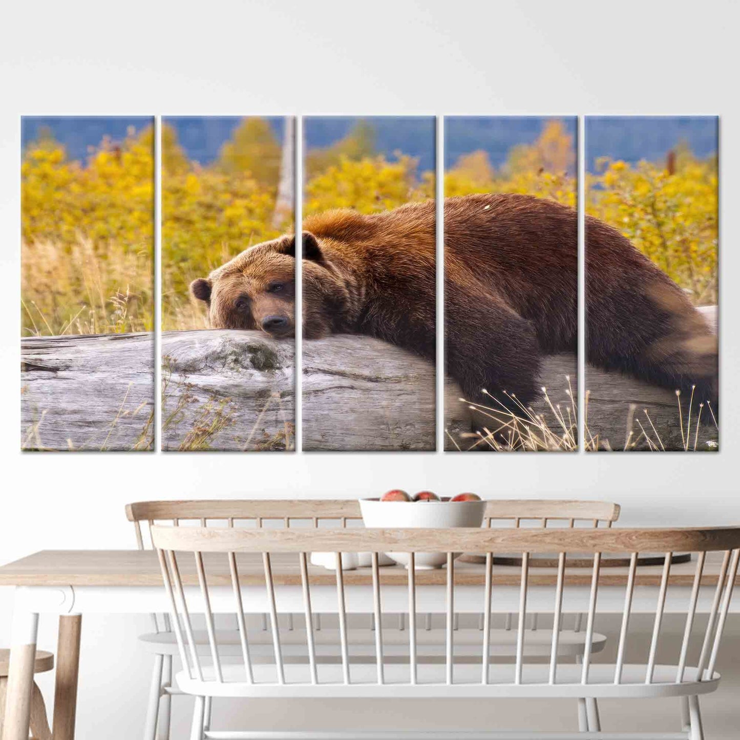 Brown Bear Resting Log Canvas Print