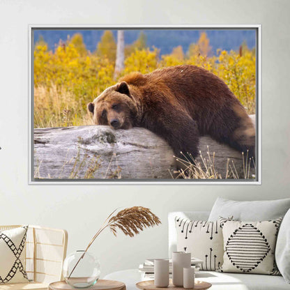Brown Bear Resting Log Canvas Print