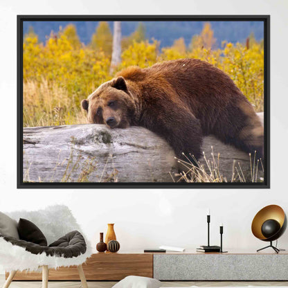 Brown Bear Resting Log Canvas Print