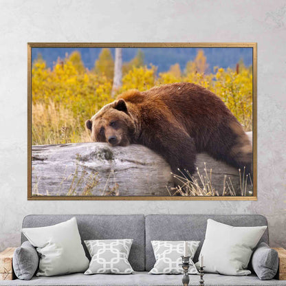 Brown Bear Resting Log Canvas Print