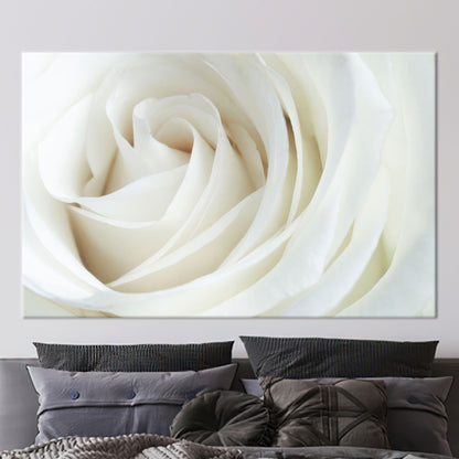 White Rose 3D Canvas Print