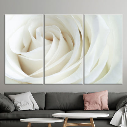 White Rose 3D Canvas Print