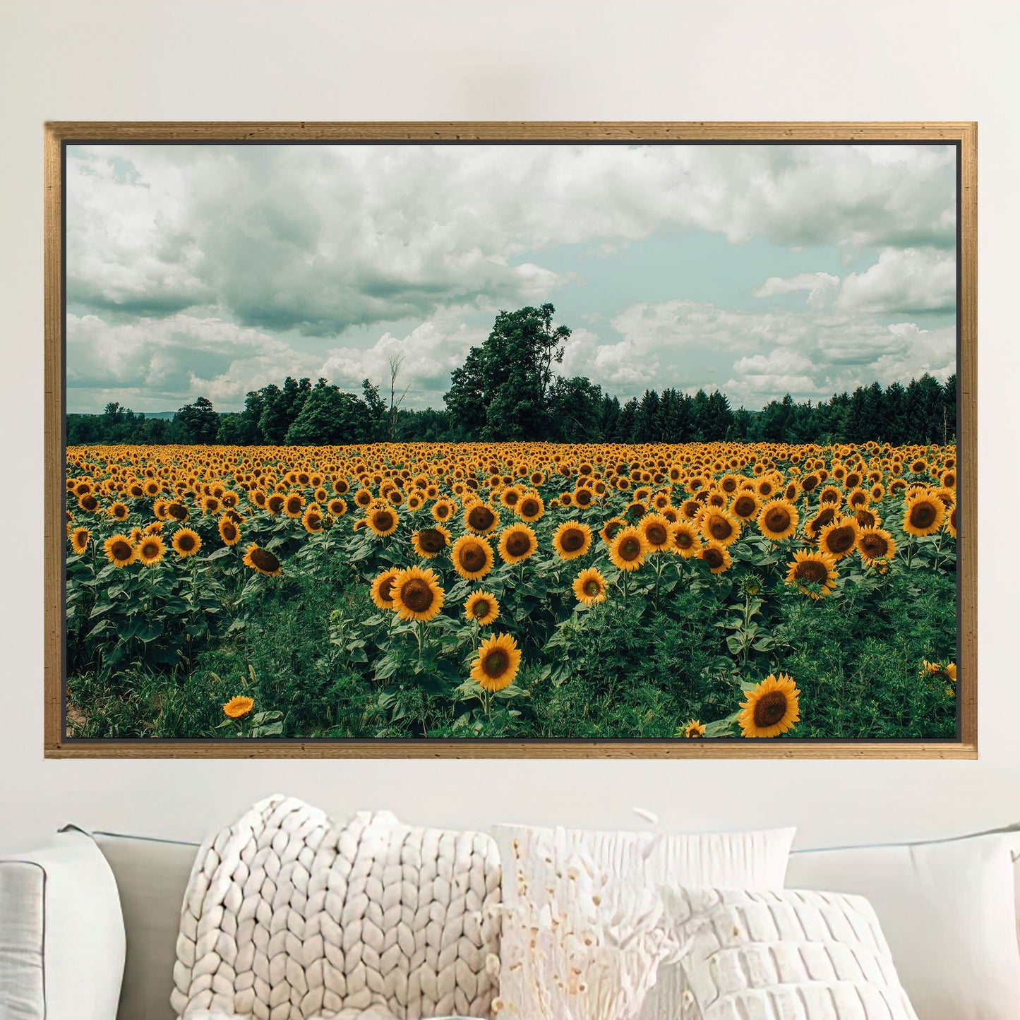 Sunflower Field Landscape Canvas Print