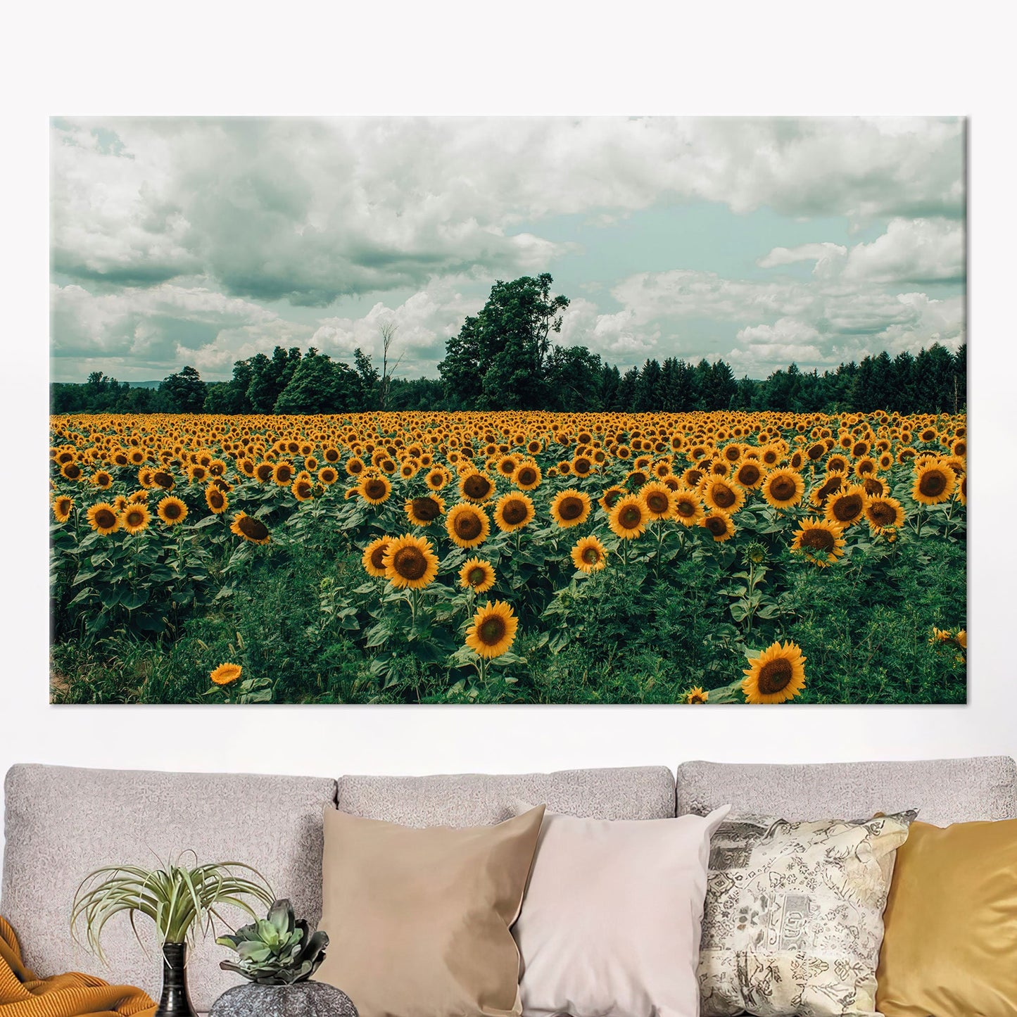 Sunflower Field Landscape Canvas Print
