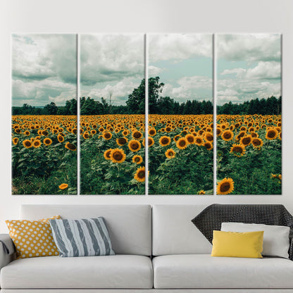 Sunflower Field Landscape Canvas Print