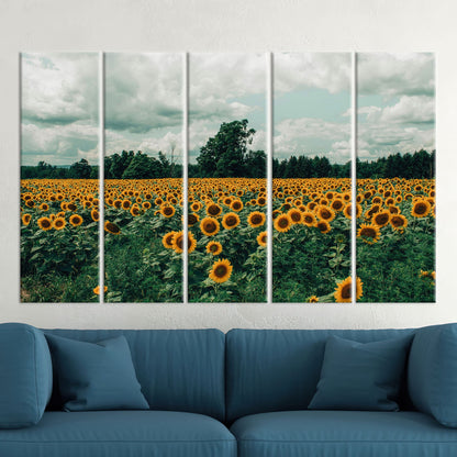 Sunflower Field Landscape Canvas Print