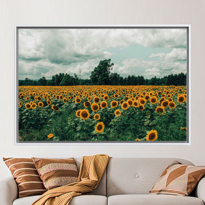Sunflower Field Landscape Canvas Print