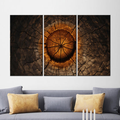 Tree Ring Abstract Burnt Wood Canvas Print