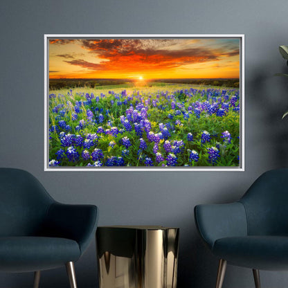 Texas Bluebonnet Sunset Vibrant Wildflower Canvas Print