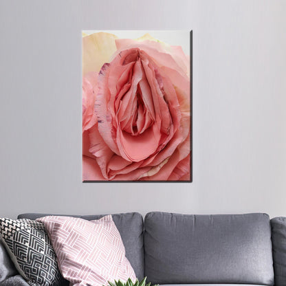Rose Vagina Nude 3D Effect Canvas Print