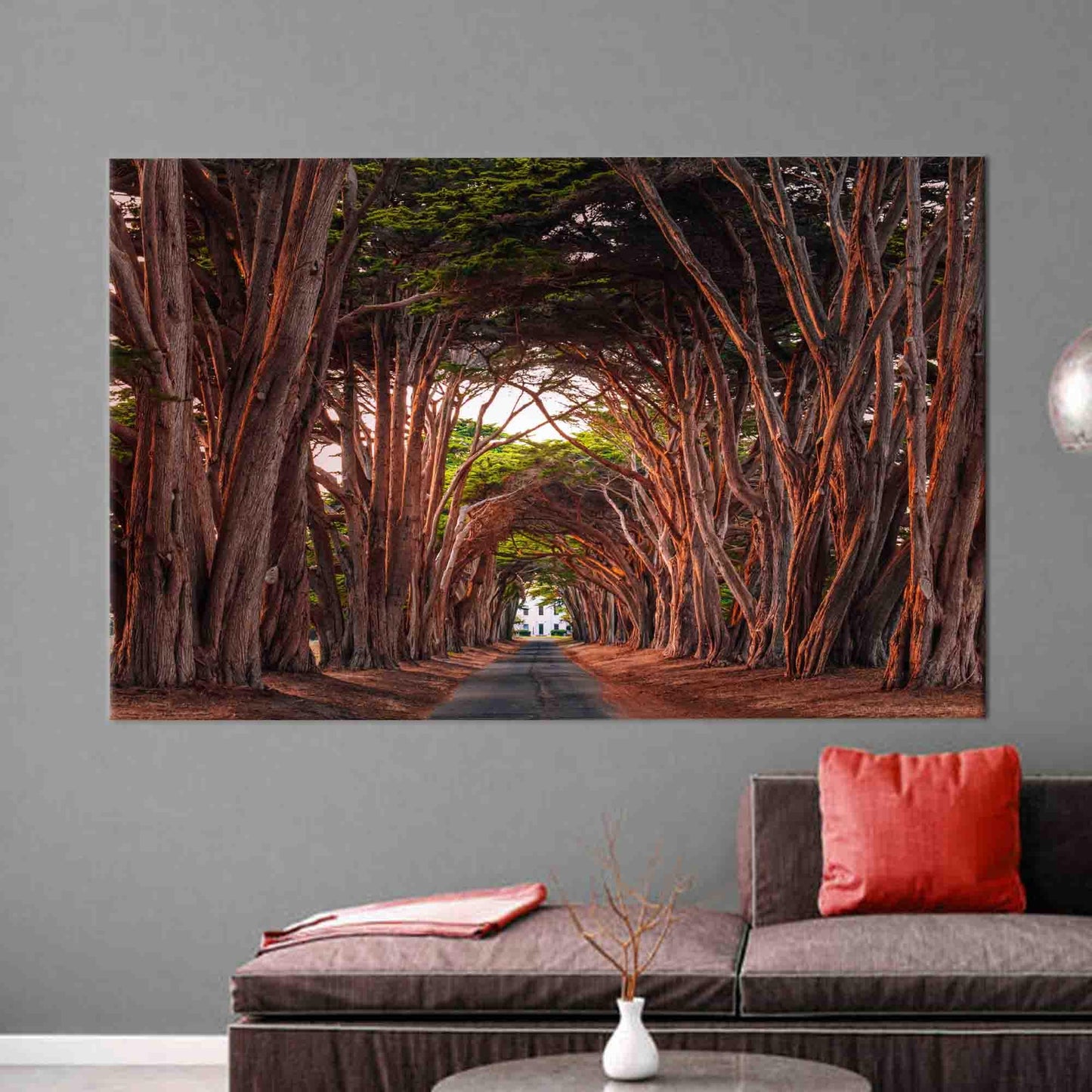 California Cypress Tree Tunnel 3D Canvas Print