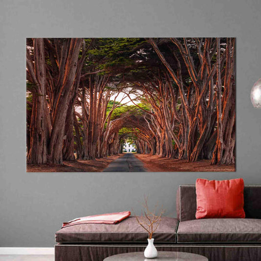 California Cypress Tree Tunnel 3D Canvas Print - Fairytale Trees Wall Art, Landscape Poster