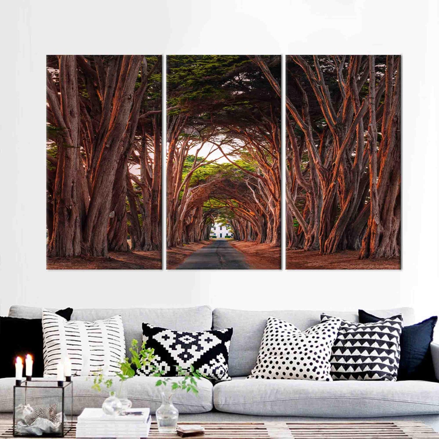 California Cypress Tree Tunnel 3D Canvas Print