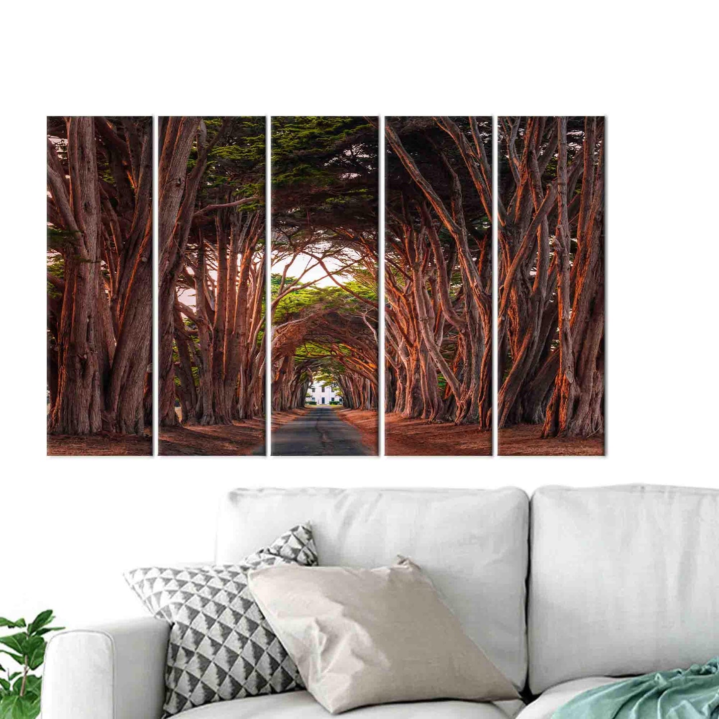 California Cypress Tree Tunnel 3D Canvas Print