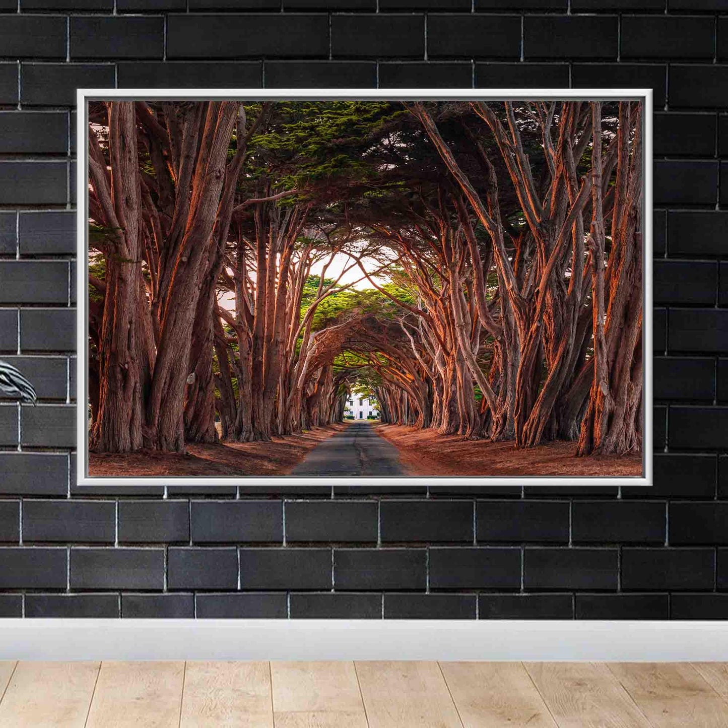 California Cypress Tree Tunnel 3D Canvas Print