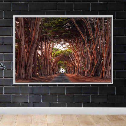 California Cypress Tree Tunnel 3D Canvas Print