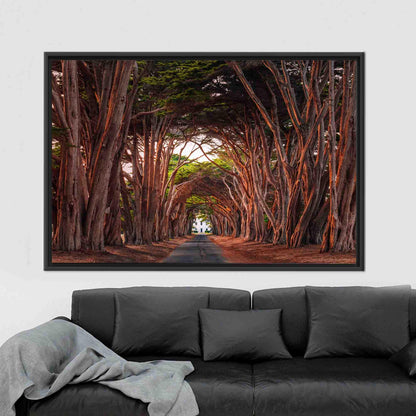 California Cypress Tree Tunnel 3D Canvas Print