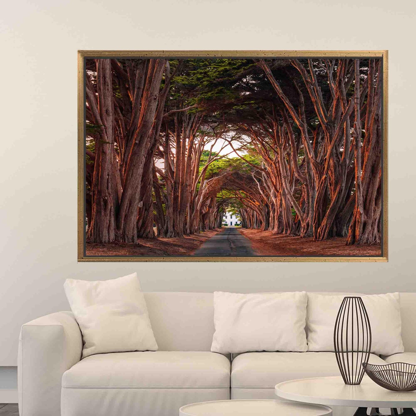 California Cypress Tree Tunnel 3D Canvas Print