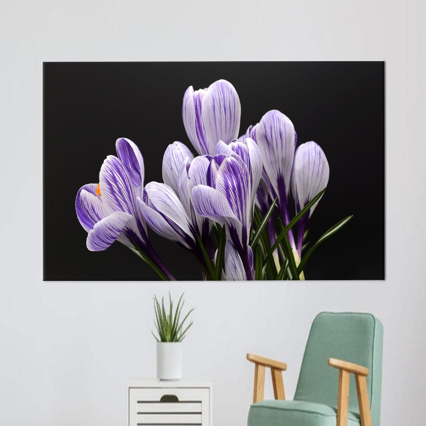 Purple Floral Crocus Canvas Print