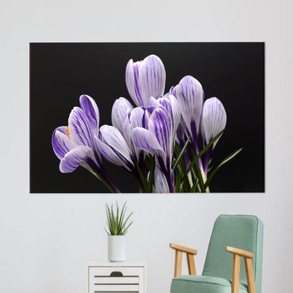 Purple Floral Crocus Canvas Print