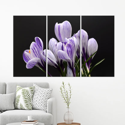 Purple Floral Crocus Canvas Print