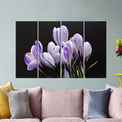 Purple Floral Crocus Canvas Print