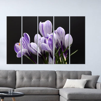 Purple Floral Crocus Canvas Print