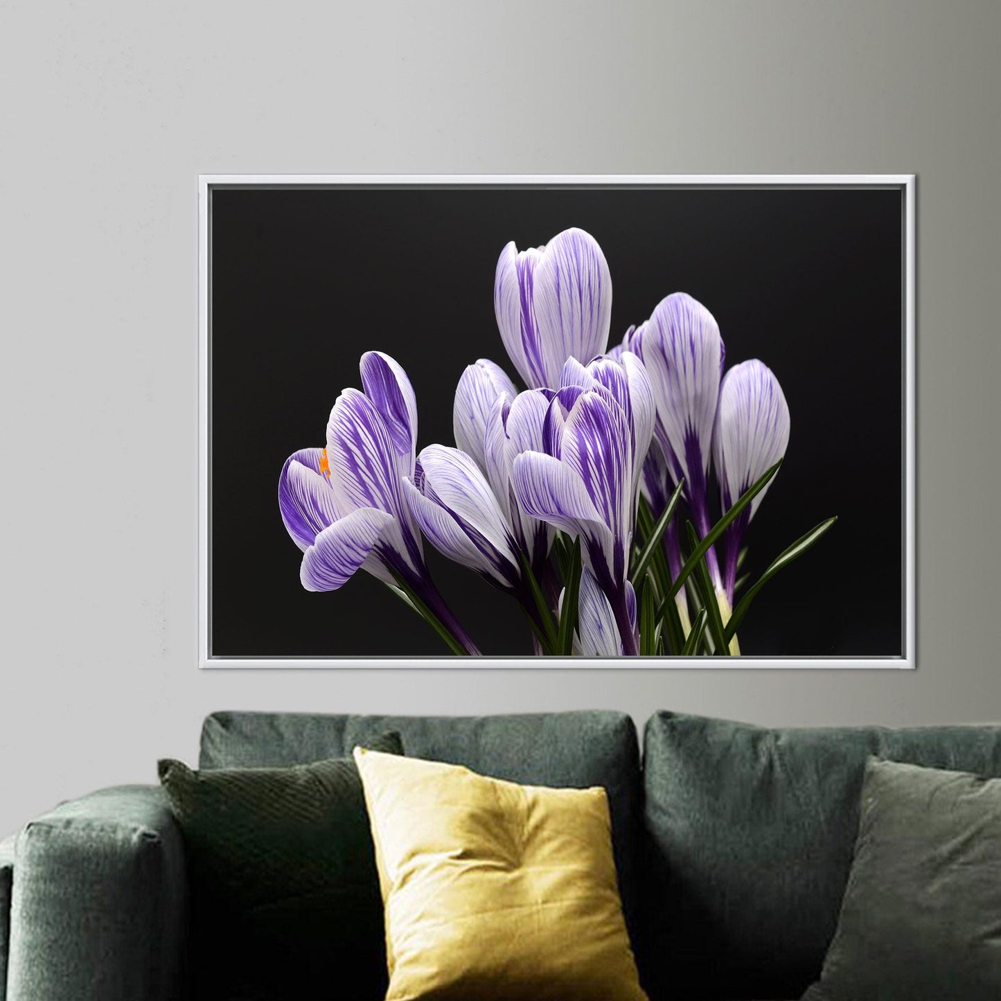Purple Floral Crocus Canvas Print