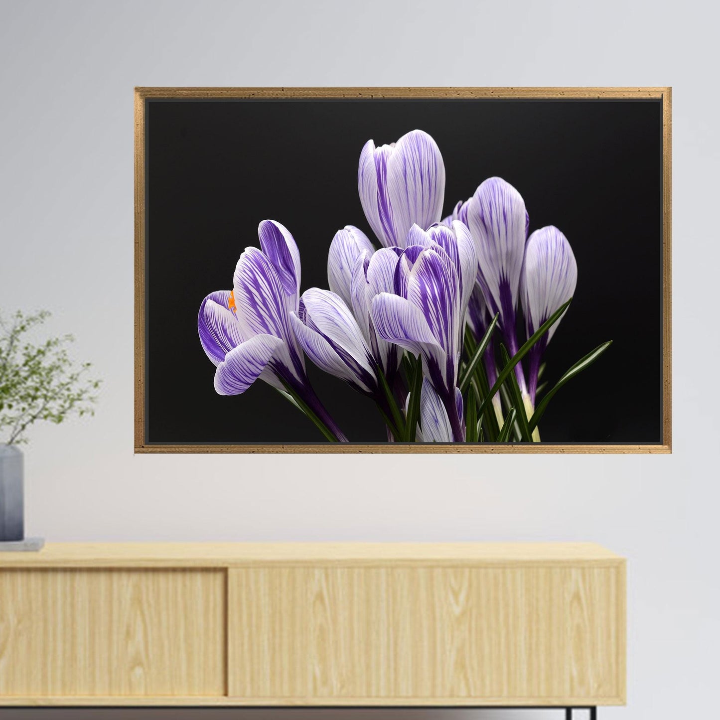Purple Floral Crocus Canvas Print