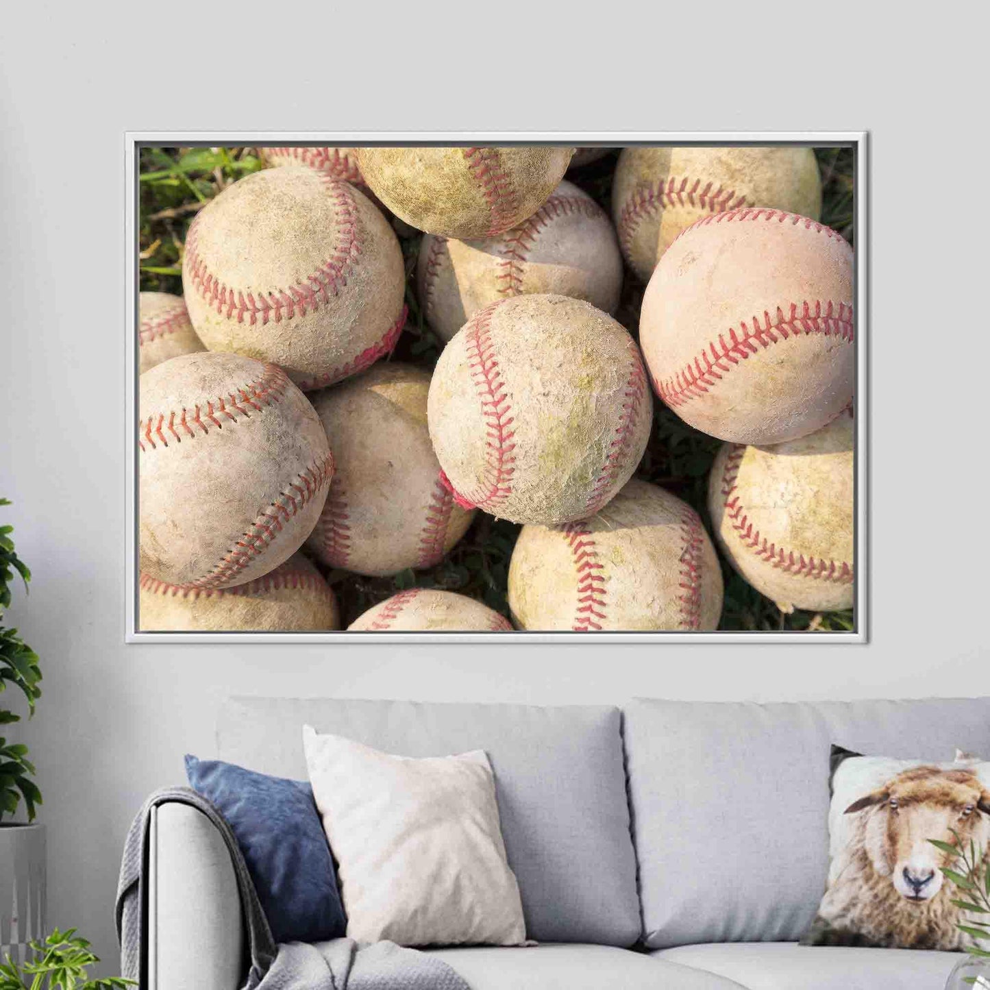 Baseball Boy Canvas Print