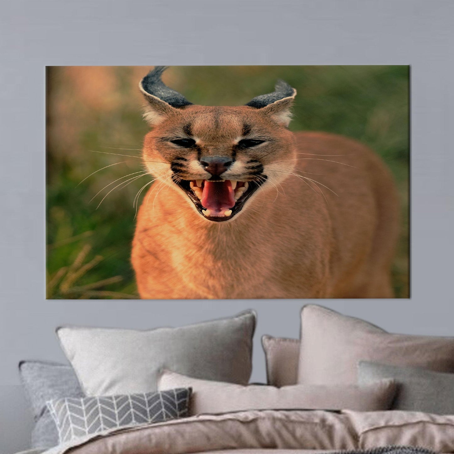 Wild Cat Caracal Wall Hanging Canvas Print - Bridesmaid Gifts, Animal Wall Art