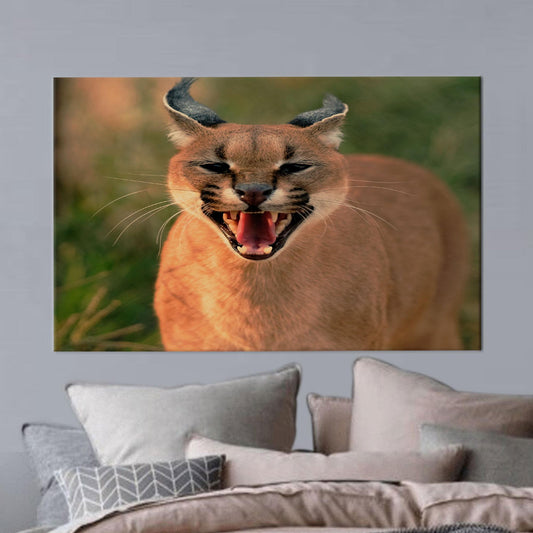 Wild Cat Caracal Wall Hanging Canvas Print - Bridesmaid Gifts, Animal Wall Art