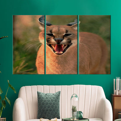 Wild Cat Caracal Wall Hanging Canvas Print - Bridesmaid Gifts, Animal Wall Art