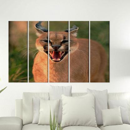 Wild Cat Caracal Wall Hanging Canvas Print - Bridesmaid Gifts, Animal Wall Art