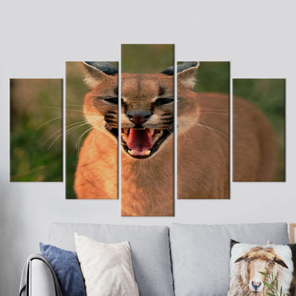 Wild Cat Caracal Wall Hanging Canvas Print - Bridesmaid Gifts, Animal Wall Art