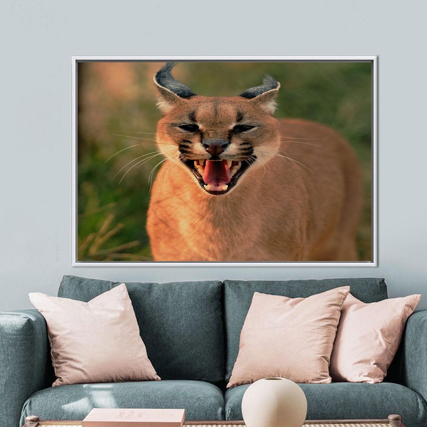 Wild Cat Caracal Wall Hanging Canvas Print - Bridesmaid Gifts, Animal Wall Art