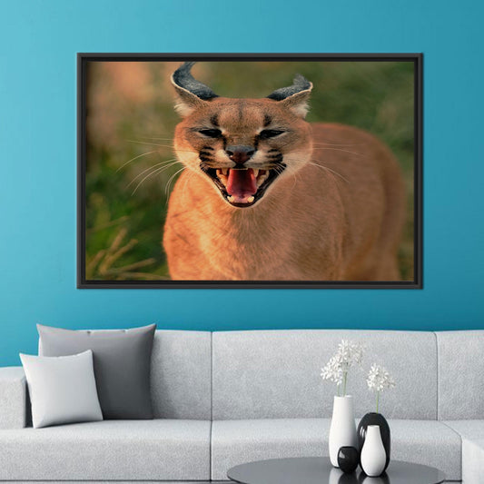 Wild Cat Caracal Wall Hanging Canvas Print - Bridesmaid Gifts, Animal Wall Art