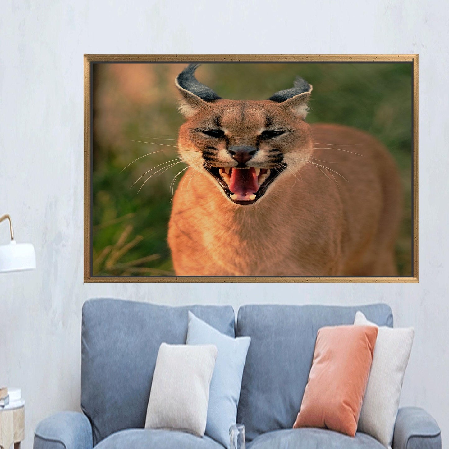 Wild Cat Caracal Wall Hanging Canvas Print - Bridesmaid Gifts, Animal Wall Art