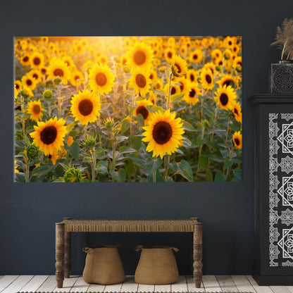 Sunflower Field Vibrant Canvas Print