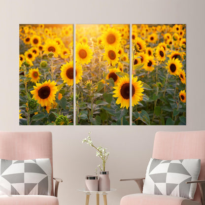 Sunflower Field Vibrant Canvas Print