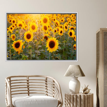 Sunflower Field Vibrant Canvas Print