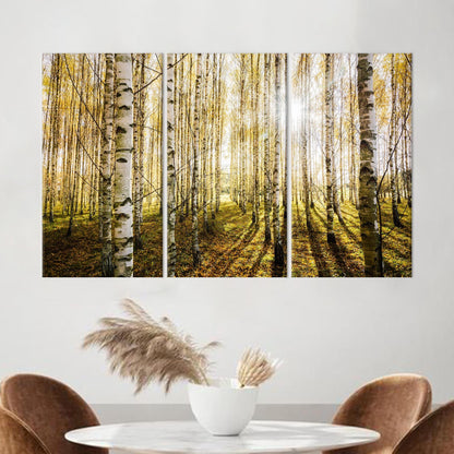 Birch Forest Canvas Wall Art - Printed Birch Trees Canvas, Birch Trees Wall Hanging, Personalized