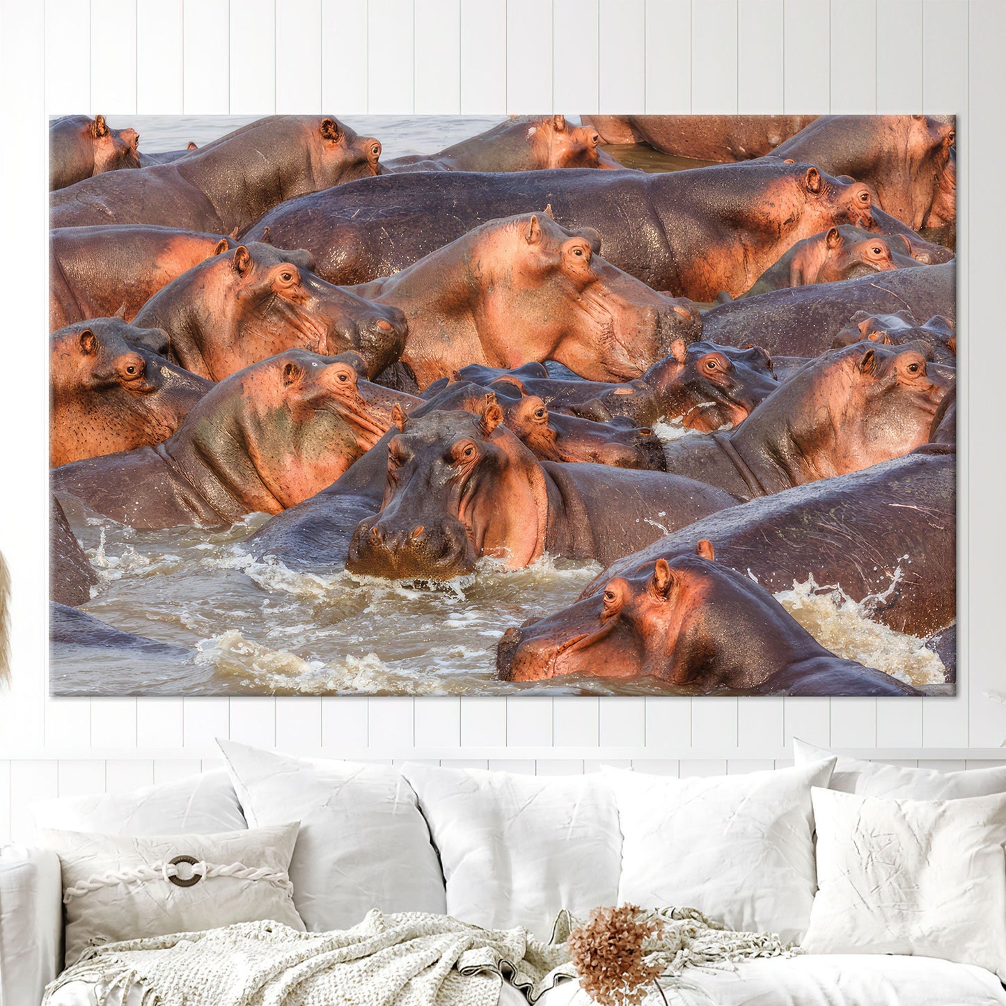 Wildlife Hippos Loft Her Canvas Print